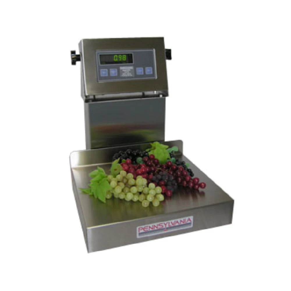 Penn Scale 6574/6576 14 Inch Digital Floor Platform Scale Stainless Steel with 2 Inch Lip