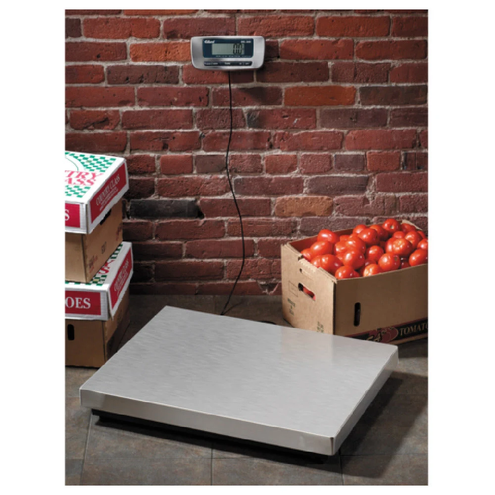 Edlund ERS-300 25-1/2 Inch Digital Receiving Scale Stainless Steel with 300 Lbs Capacity