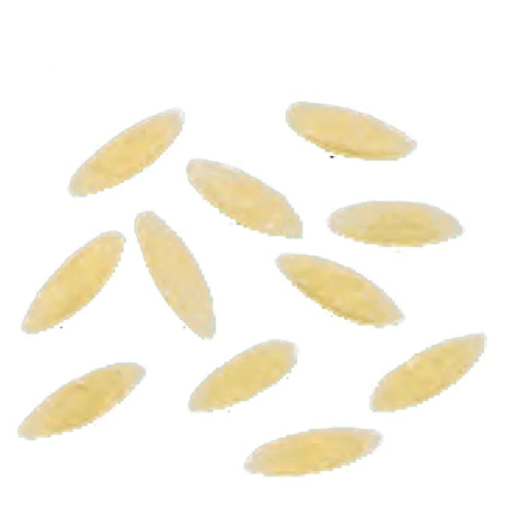 AEX50#309 8.8mm Orzo Bronze Pasta Die with Durable Construction