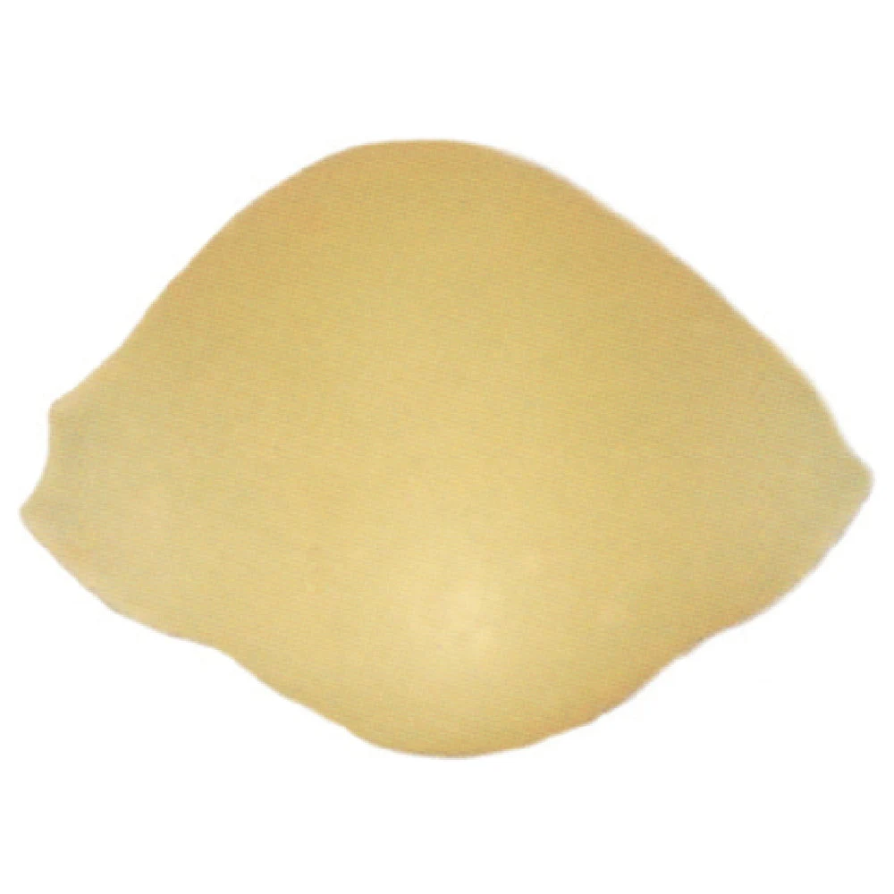 AEX50#162 28mm Diameter Shell Bronze Pasta Die for Extrusion