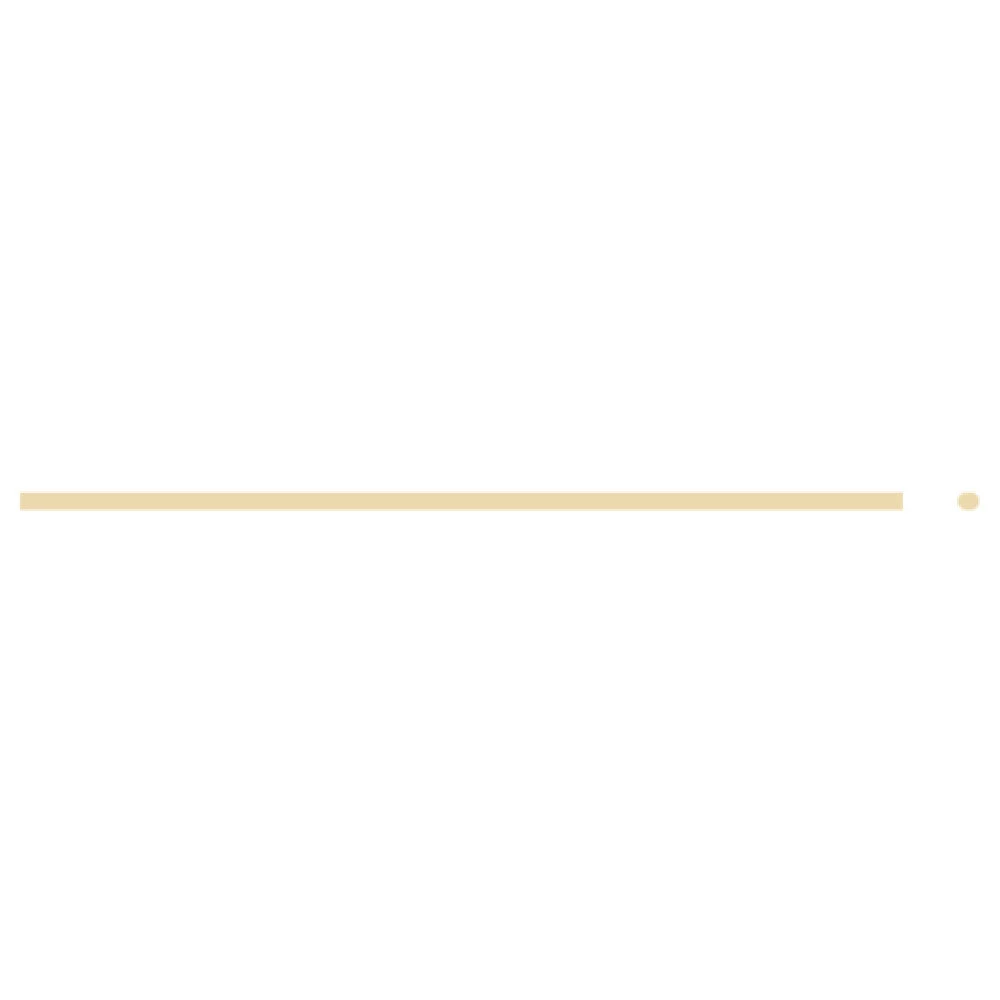 Arcobaleno Pasta Equipment AEX130 and AEX130M#5 1mm Angel Hair Pasta Die Bronze