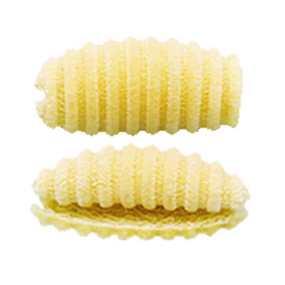 Arcobaleno Pasta Equipment AEX18 and AEX20#418 30mm Extruder Die Gnocchi Sardi with Ridges