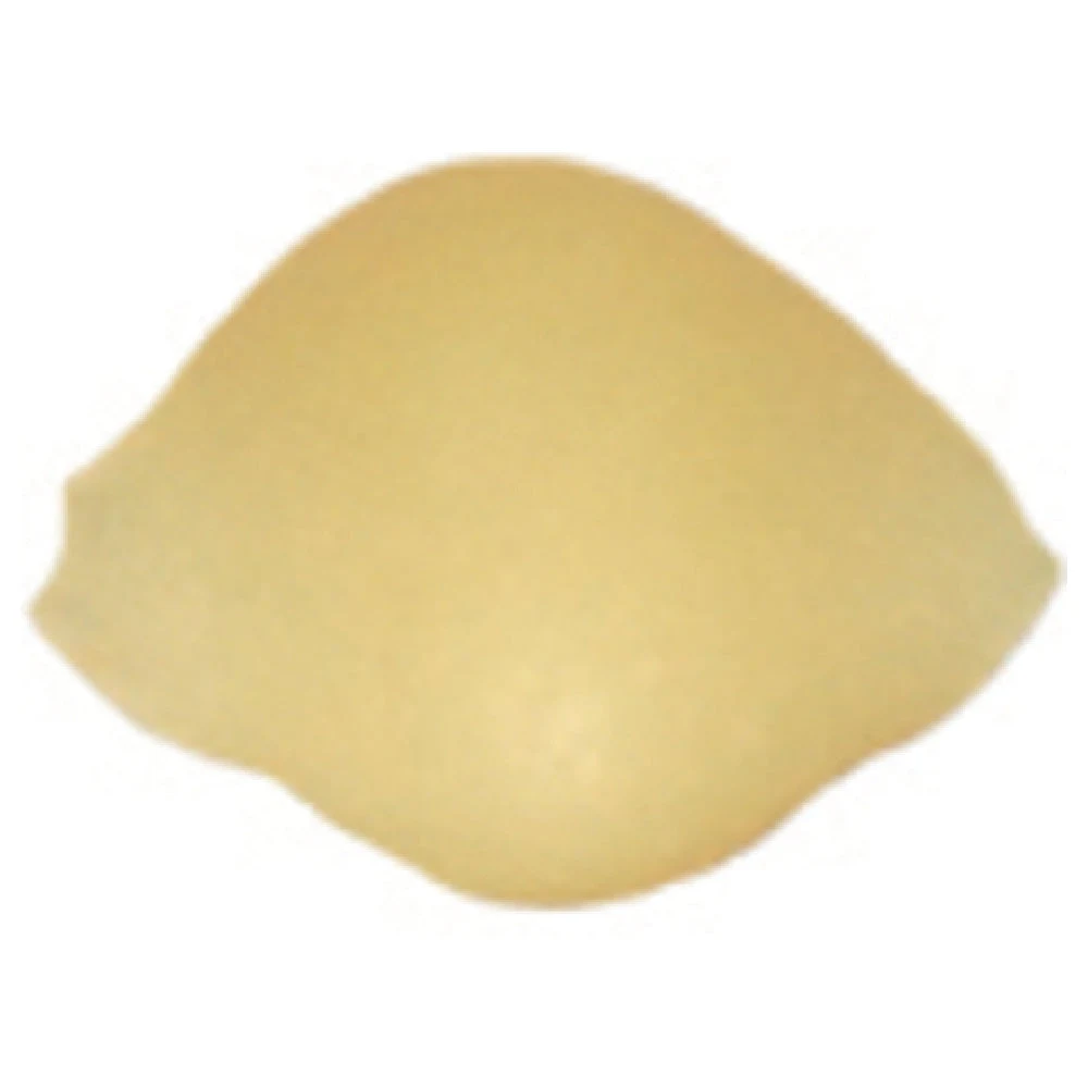 Arcobaleno Pasta Equipment AEX90 and AEX90M#159 10mm Shell Extruder Die Bronze