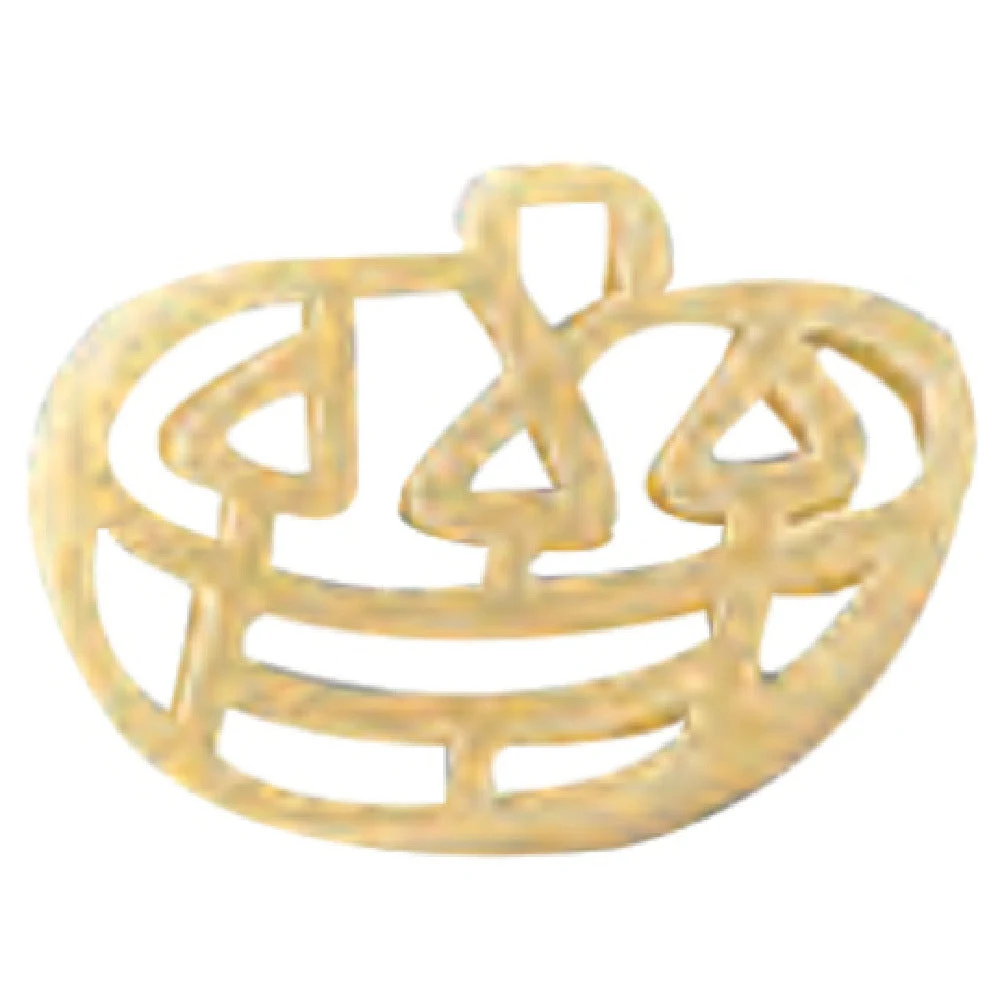 Arcobaleno Pasta Equipment AEX30STELLA#549 Diameter 30 mm Pumpkin Extruder Die in Stainless Steel
