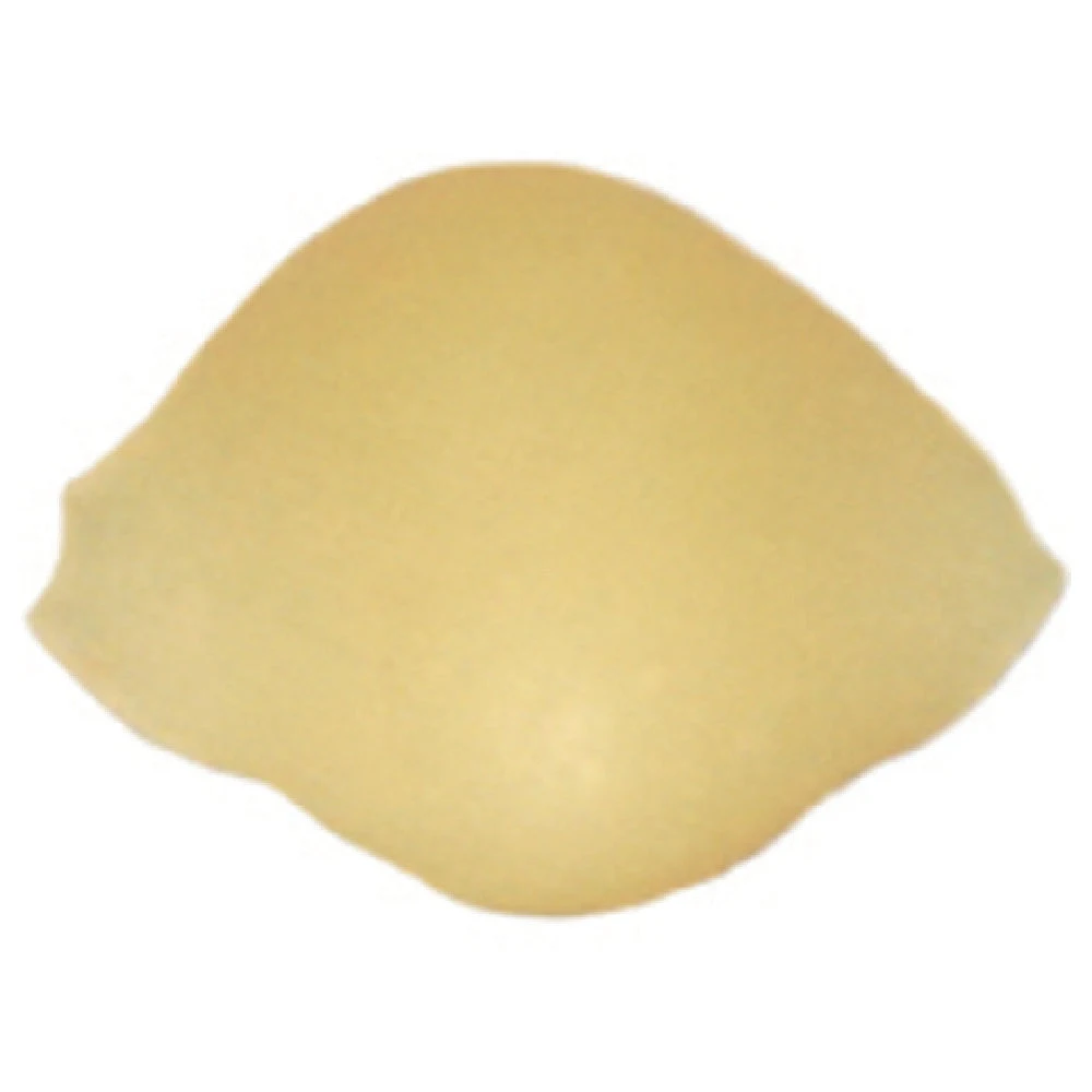 Arcobaleno Pasta Equipment AEX30STELLA#160 15mm Shell Extruder Die Bronze