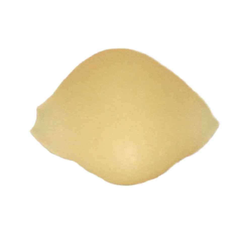 Arcobaleno Pasta Equipment AEX18 and AEX20#162 28mm Shell Pasta Die Bronze