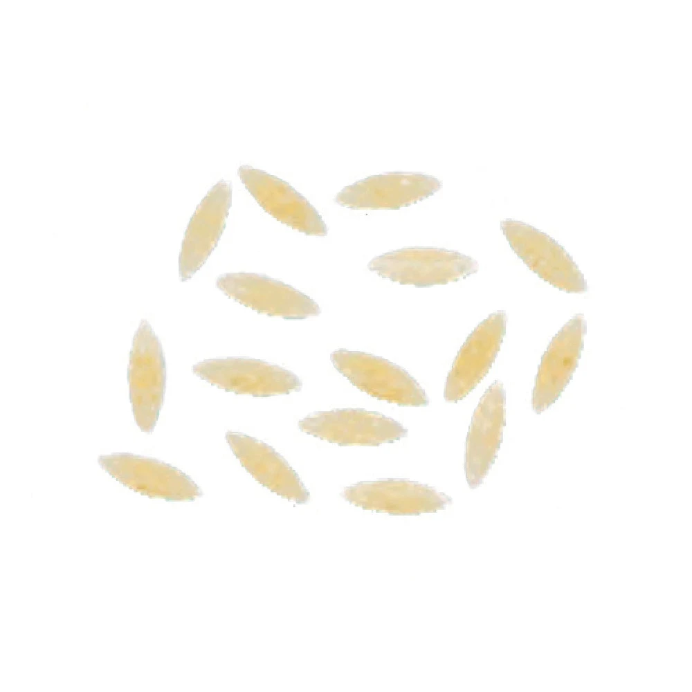 Arcobaleno Pasta Equipment AEX50#305 6.5 x 2mm Orzo Bronze Die