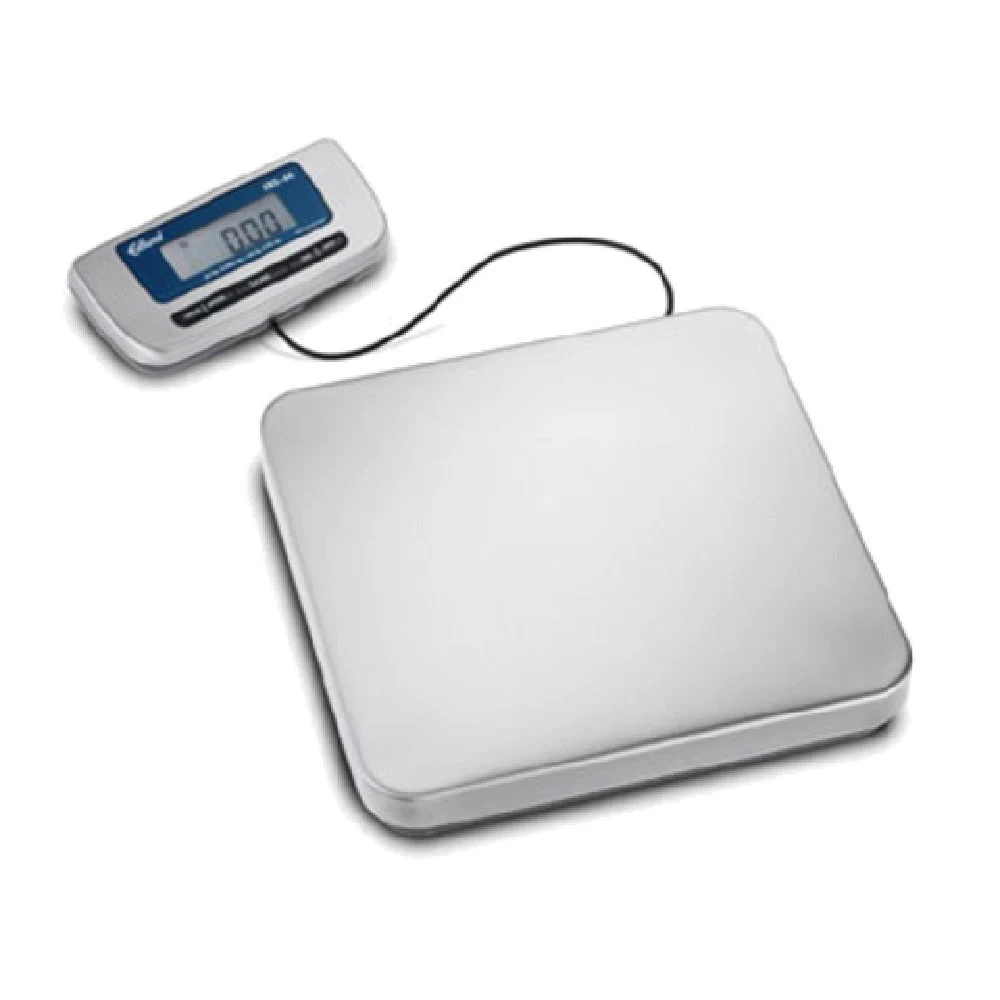 Edlund ERS-60 60 lbs Digital Receiving Scale with Hold Feature Stainless Steel