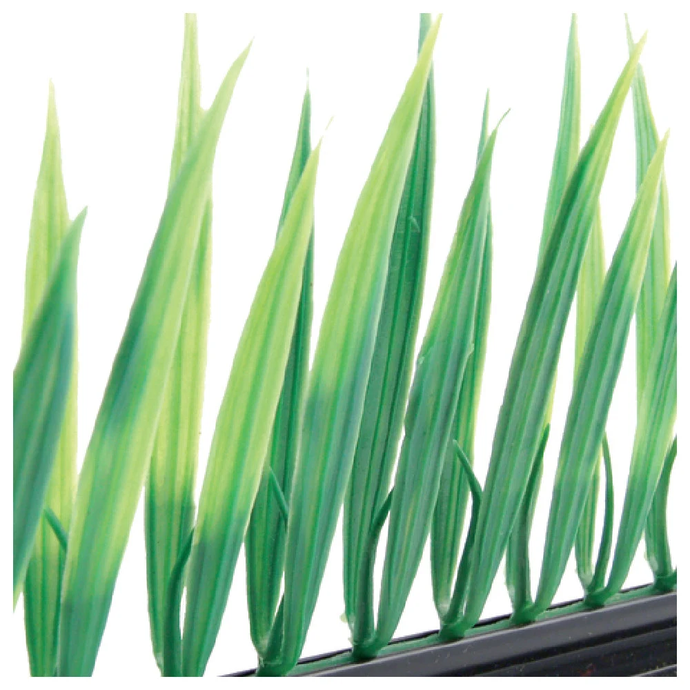BauscherHepp GB38 10 Inch Length Grass Garnish Dishwasher Safe with Black Base