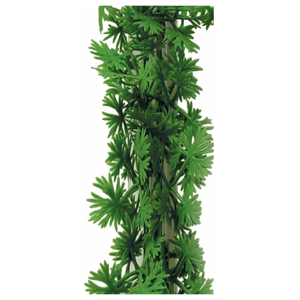 BauscherHepp G21 9-3/4 Inch Parsley Divider White PVC with Green Garnish