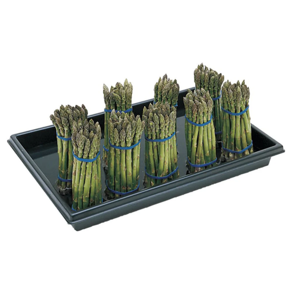 Hubert 68530 Asparagus Tray 23-1/2