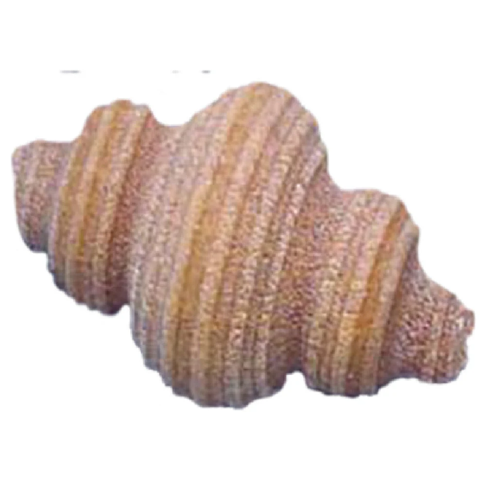 Arcobaleno Pasta Equipment AEX440 and AEX440M#388 Bronze Shell Pasta Die